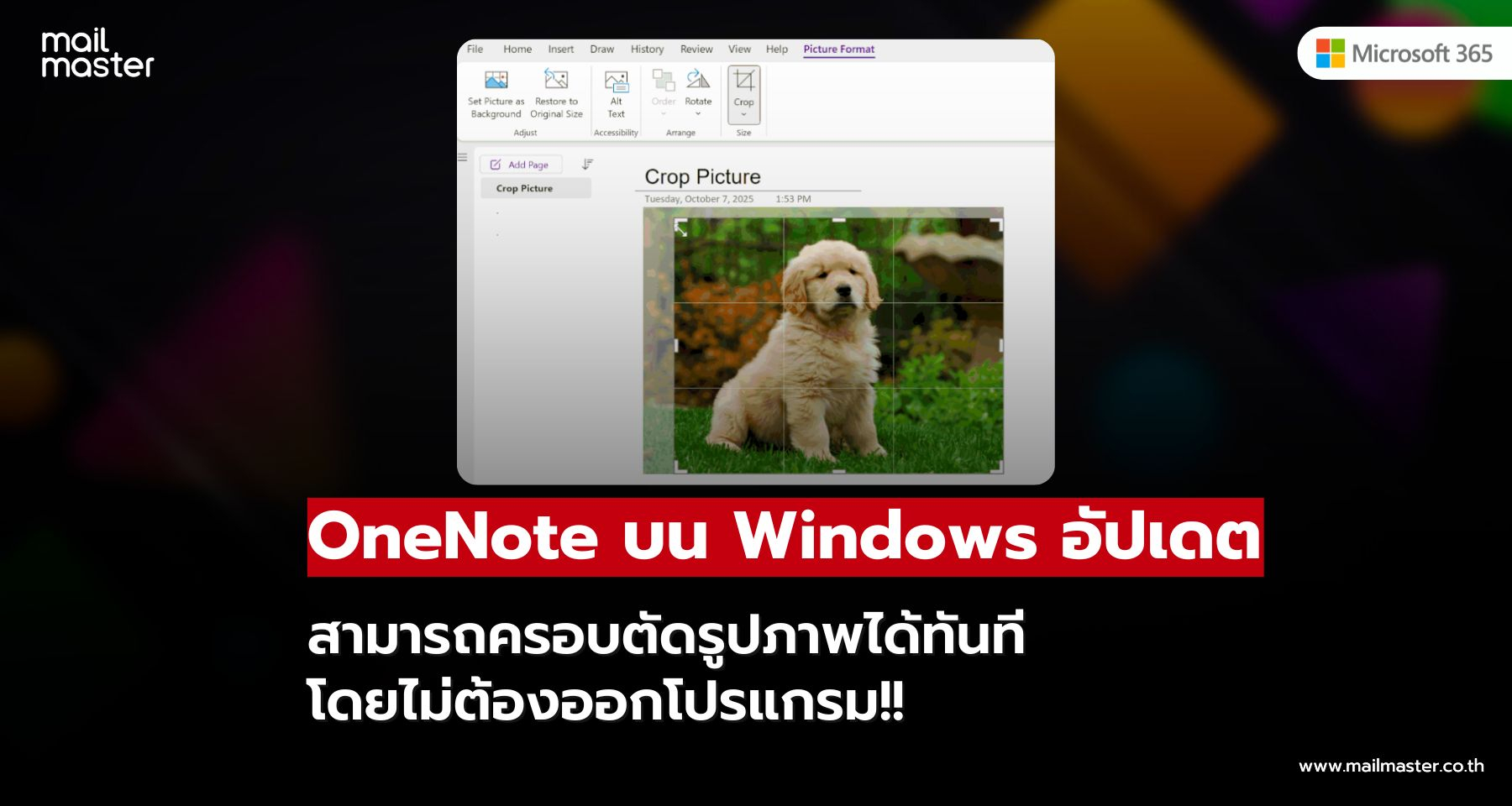 OneNote บน Windows ครอบตัดรูปภาพได้ทันทีในโปรแกรม!!