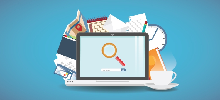 Domain & Hosting