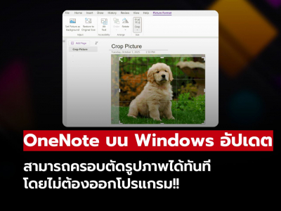 OneNote บน Windows ครอบตัดรูปภาพได้ทันทีในโปรแกรม!!