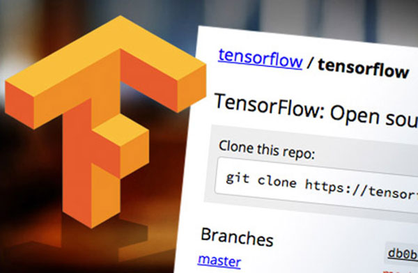 TensorFlow สร้าง AI จาก Google เพิ่ม Object Detection API